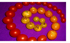 offene_seminare_01